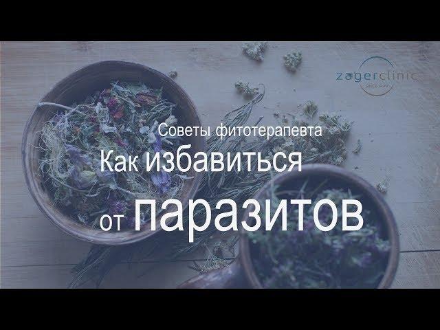 Как избавиться от паразитов в организме человека | Варианты лечения