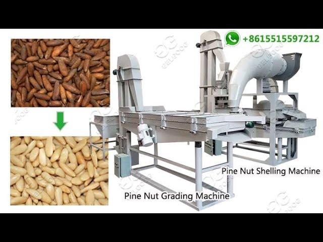 200 KG/H Pine Nut Chilgoza Grading and Shelling Machine Line