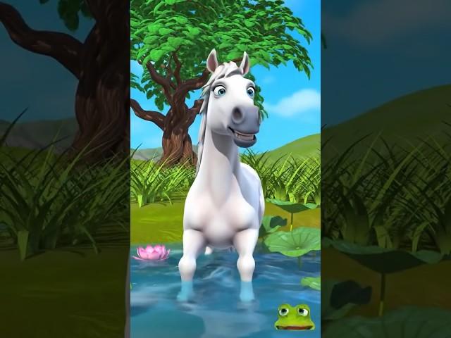 Thousands of Octopuses Attacked This Horse — What Happened Next Will Shock You!