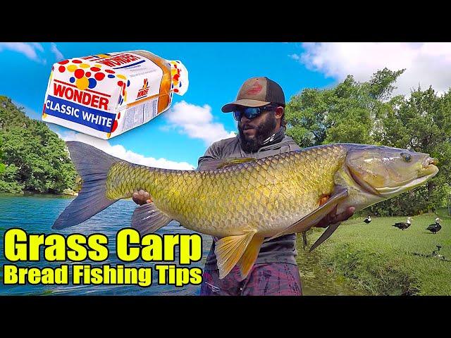 Monster Mike's Carp Fishing Secrets!  How to Catch BIG Grass Carp!