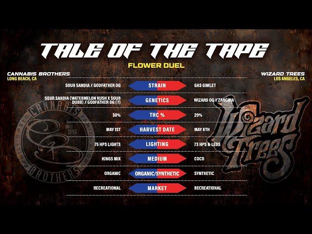 Proper Cup - Gas Bracket (Rd 2): Wizard Trees vs The Cannabis Brothers