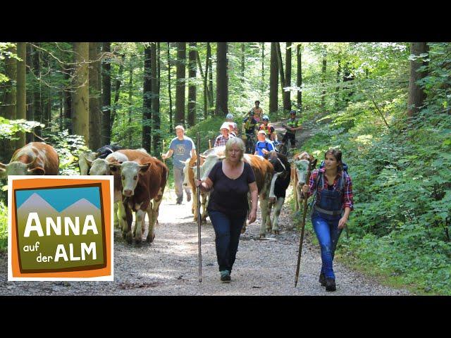 Das Abenteuer beginnt | Reportage für Kinder | Anna auf der Alm | #1