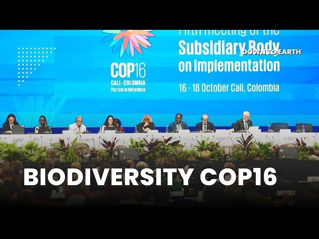 What's at the centre of upcoming COP16 on Biological Diversity in Colombia?