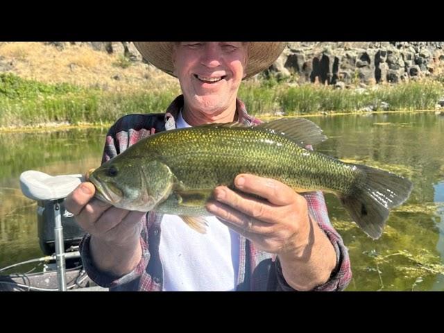 Top 10 Largemouth Bass Fishing Lakes