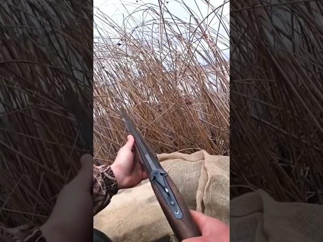 Это был лучший выстрел! Весенняя охота на селезня с подсадной