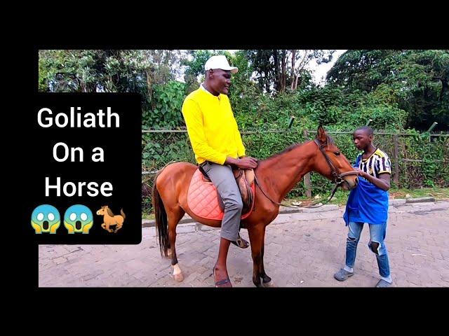 Goliath wa Bungoma Isaac first time riding a horse . Mguu inaguza chini.