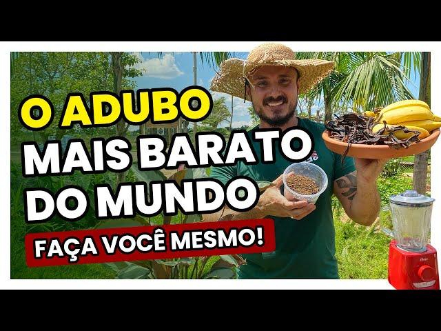 ADUBO CASEIRO mais barato do mundo | Aprenda como fazer