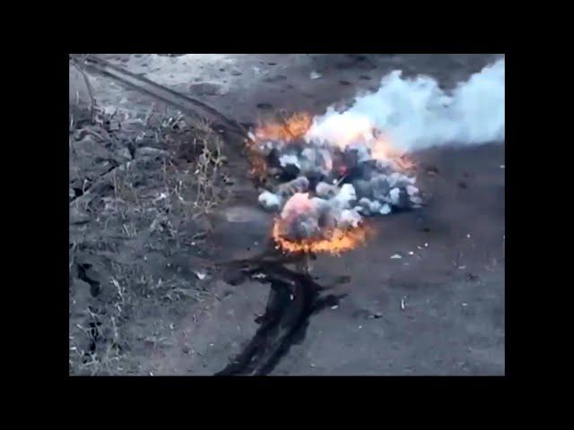 ウクライナ軍、東部シンキフカ付近でロ軍戦車を撃退　映像公開