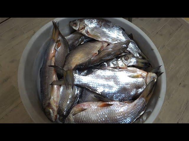 Dried salted fish in a bucket. The most delicious dried fish.