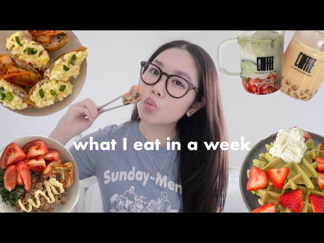 what i eat in a week as a college student  *asian food + realistic *