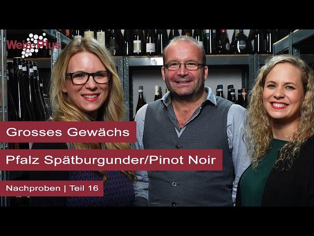 Grosses Gewächs I Nachproben (16) I Pfalz Spätburgunder/Pinot Noir I Wein-Plus