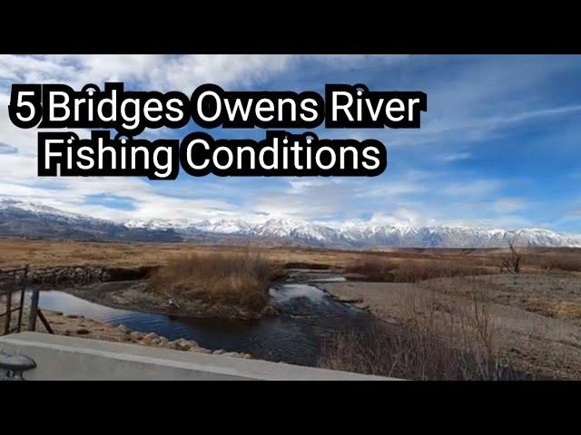 5 Bridges Owens River Bishop California Fishing and Water Conditions