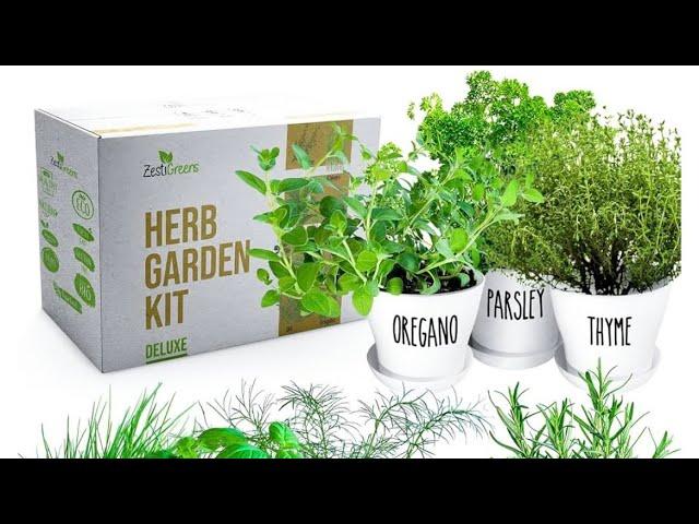 FUN & EASY ORGANIC Herb garden kit for a FARM to TABLE experience for ALL ages!