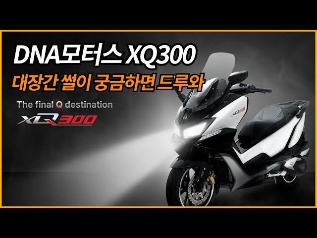 DNA모터스 XQ300 대장간썰이 궁금하면  드루와