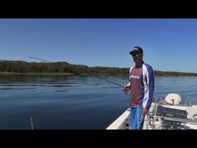 Flathead Tips - SHIMANO AUSTRALIA