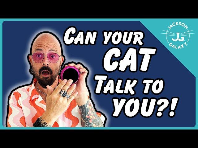 Talking Buttons for Cats: i can haz language?