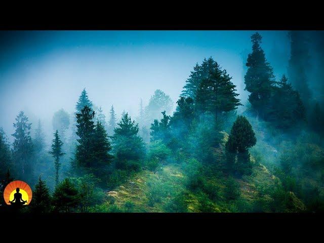 3 Hour Zen Meditation Music: Nature Sounds, Relaxing Music, Calming Music, Healing Music, 071C