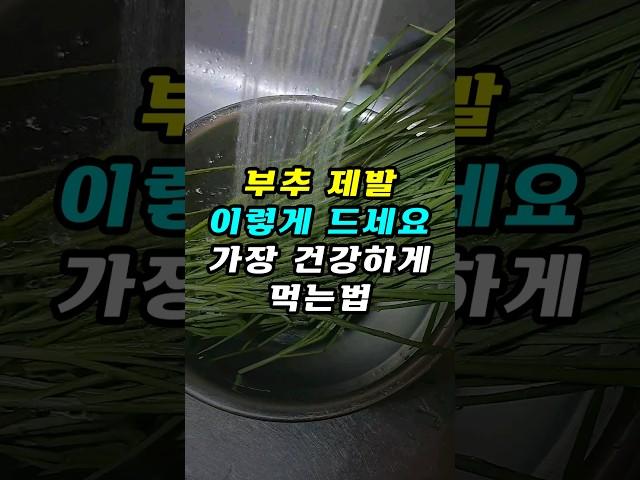부추 제발 이렇게 드세요! 가장 건강하게 먹는 법 #건강 #건강식