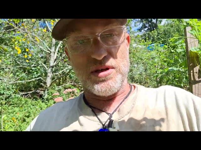 phat ninja foodforest is a permaculture designed foodforest, what does that mean