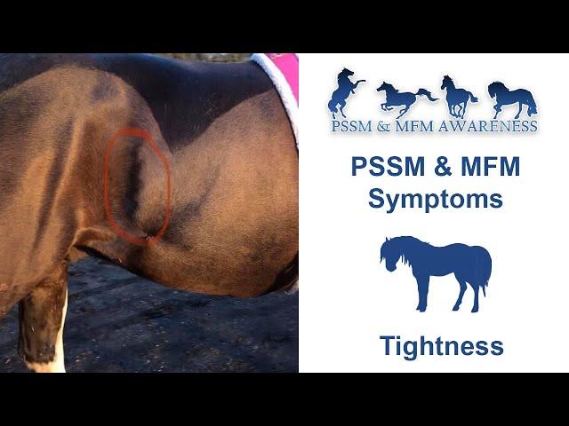 PSSM & MFM Symptoms- Tightness