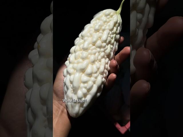 What’s this white, bubbly thing?