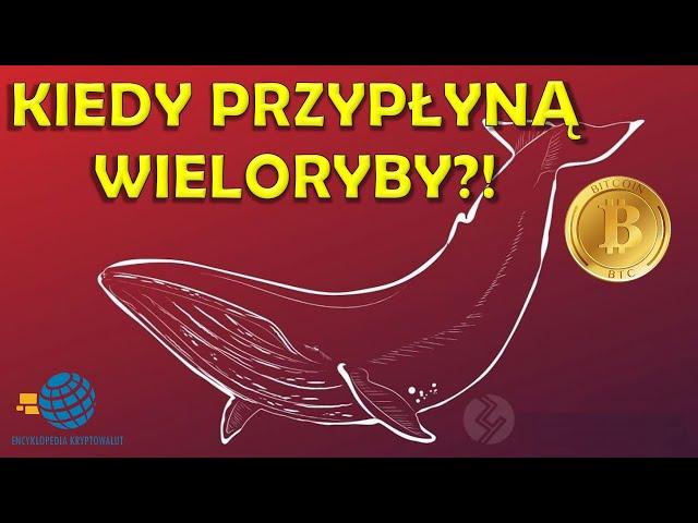 Co dalej? Update na temat RYNKU KRYPTOWALUT, złota, DAX 30, S&P 500 + Suchar na wesoło :)