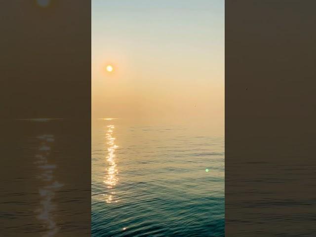 Embrace Calmness: Find Serenity by the Sea #Calmness #Serenity #OceanBliss #Tranquility #Nature#asmr