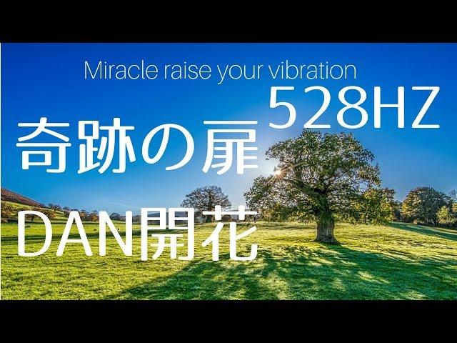 【528HZ】 奇跡の扉瞑想、DNA開花（1時間）Miracle Raise your vibration 528hz