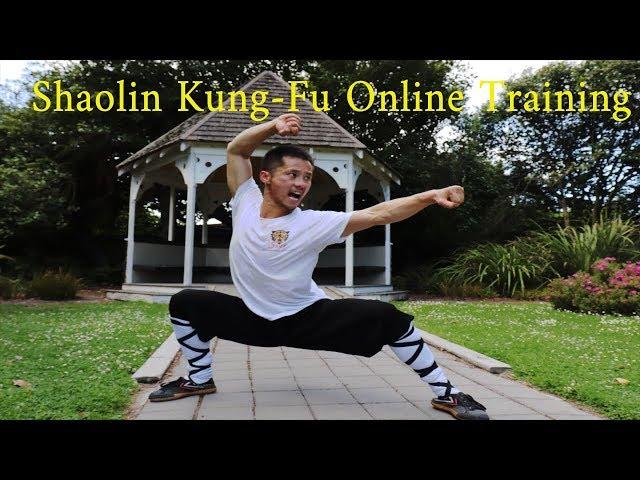 Shaolin Lian Huan Quan Online Training Tutorial Part 1 少林连环拳 Martial Arts for beginners