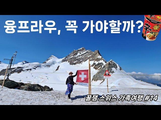  신라면은 맛있었어요!｜ep14 융프라우와 하더클룸 전망대