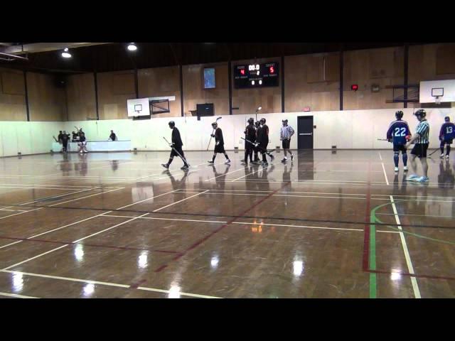 What A Goal! (Ball Hockey HD Video - Mike Sanghara) Ball Hockey Skills Tricks January 22, 2012