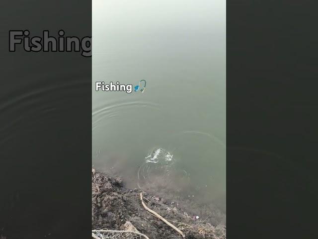 FishingFarmer#viral#Shorts#fishing@Sohelkhan-sf