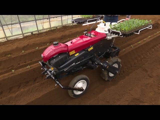 YANMAR | VEGETABLE TRANSPLANTER PH1A