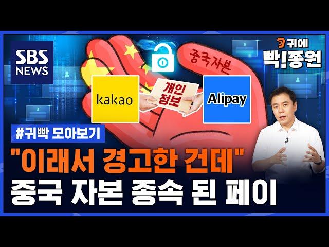 중국 자본이 장악한 페이, 4천만 정보 넘어갔다 / SBS / 모아보는뉴스