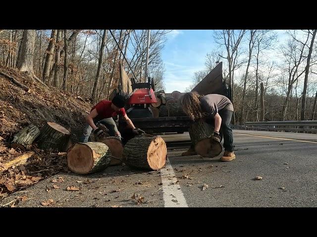 Roadside Logging Day 3: White and Red Oak Firewood