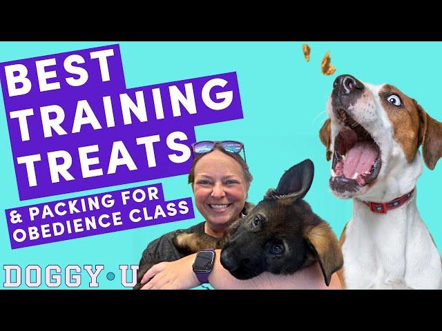 BEST Dog Training TREATS: What To PACK For Your FIRST (or any) Puppy Training CLASS