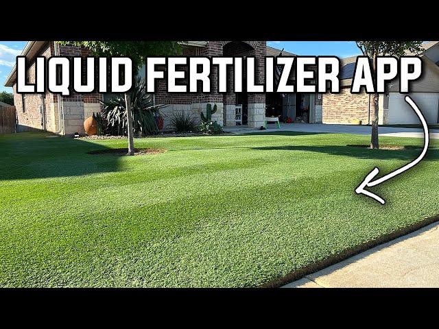 Applying Liquid Fertilizer for a Dark Green Lawn