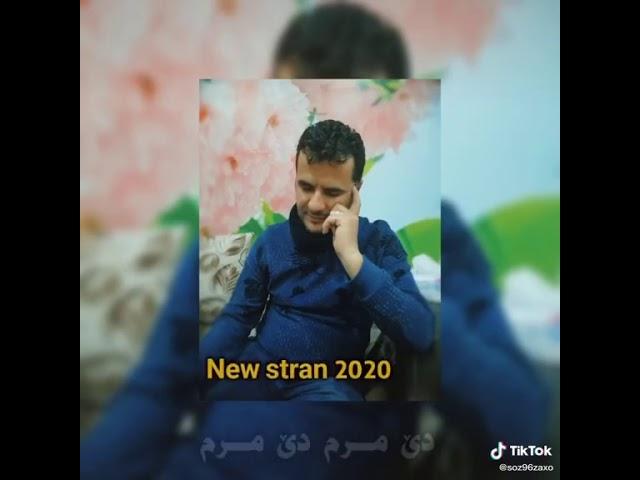 Ebdulqehar zaxoyi 2020