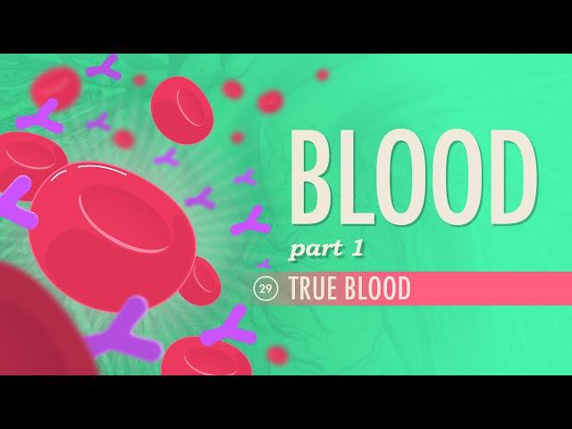 Blood, Part 1 - True Blood: Crash Course Anatomy & Physiology #29