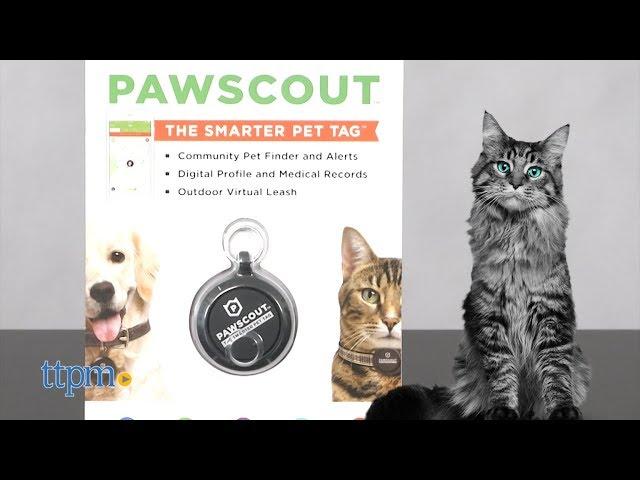 Pawscout The Smarter Pet Tag from Worldwise