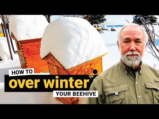 TheBeekeeper.org - How to overwinter your beehive