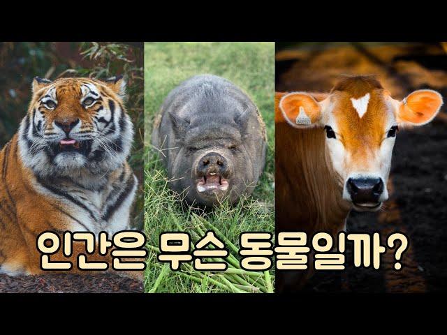 인간은 잡식동물일까? 육식, 잡식, 초식동물의 정의