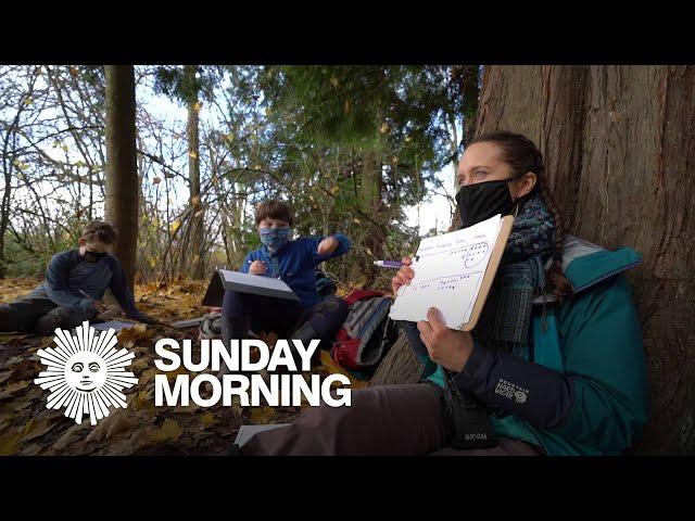 Forest schools: Lessons in outdoor education