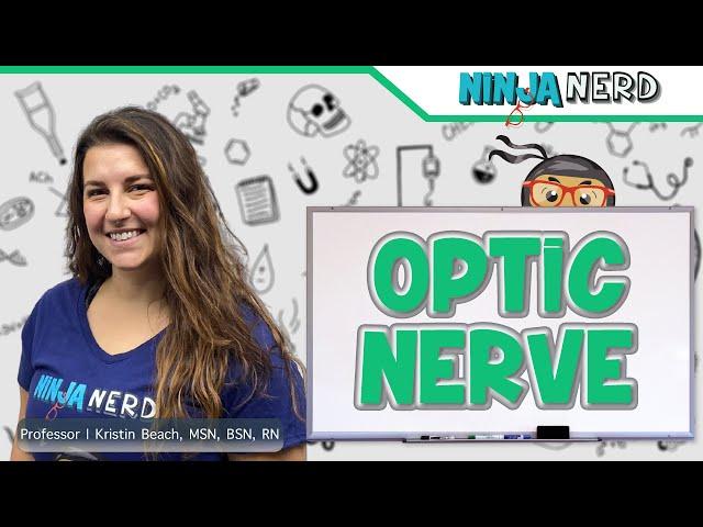 Optic Nerve