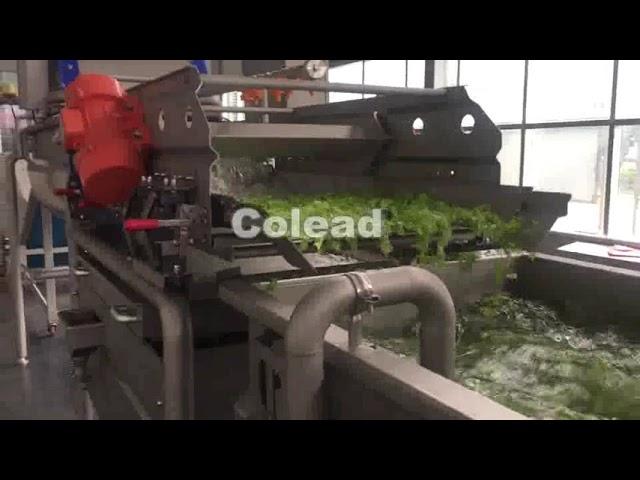 Lettuce washing processing machine, salad processing line, colead machinery test with lettuce