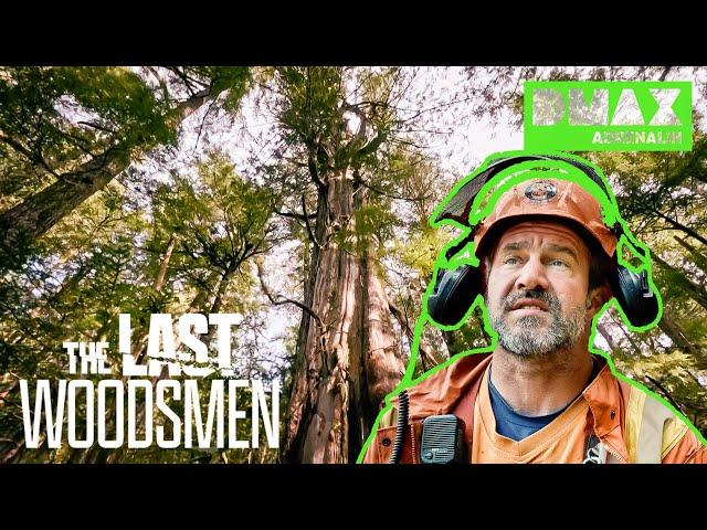 Baumhohe Schulden | The Last Woodsmen – Holzfäller am Limit | GANZE FOLGE | DMAX Adrenalin