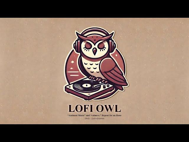 LOFI OWL - Character Music Repeat 1 hour