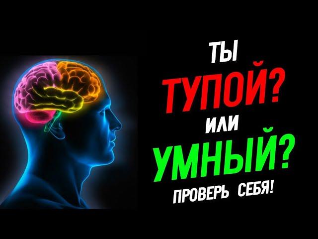 Тест: Насколько Ты Умный? Проверь Себя! @HomelandChannel