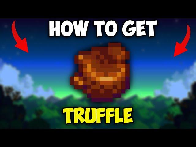 how to get TRUFFLE in Stardew Valley 1.6