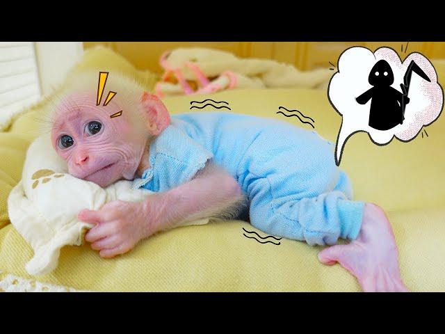 Baby monkey Poki wakes up from a nightmare and rushes to find his mom!